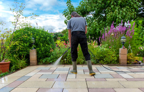 Best Animal Enclosure Cleaning  in Manti, UT